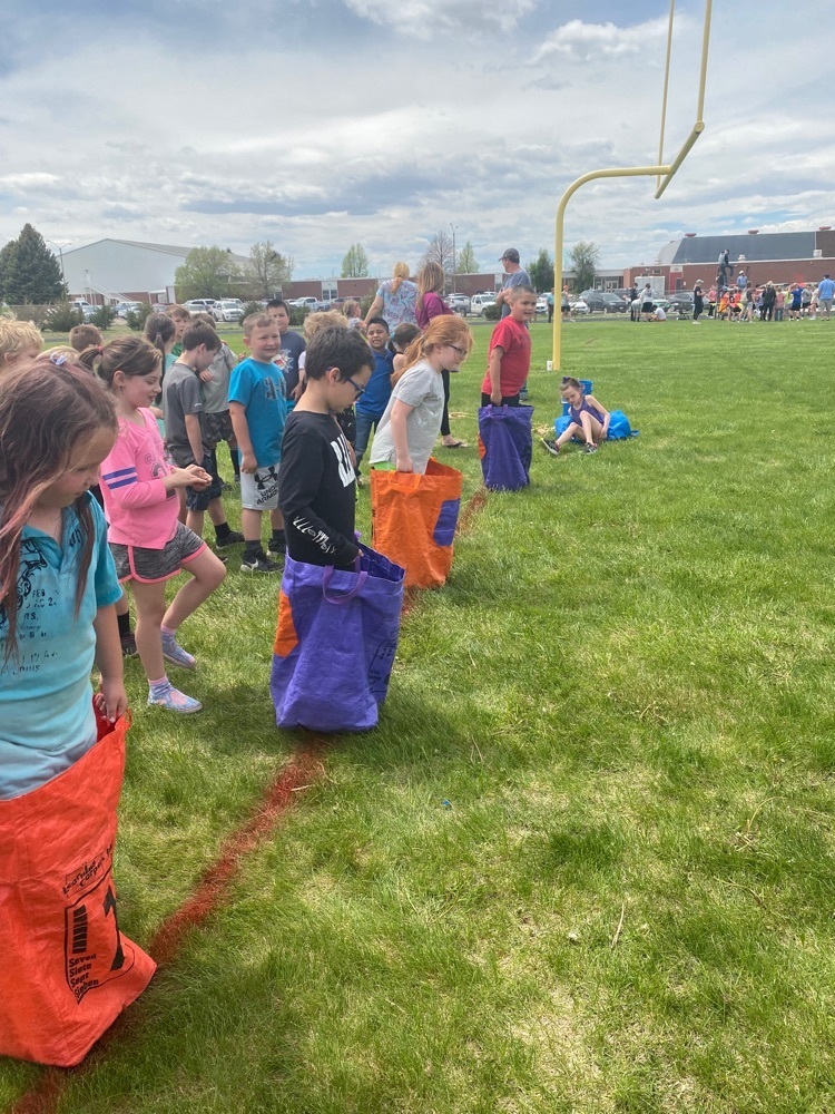 field day